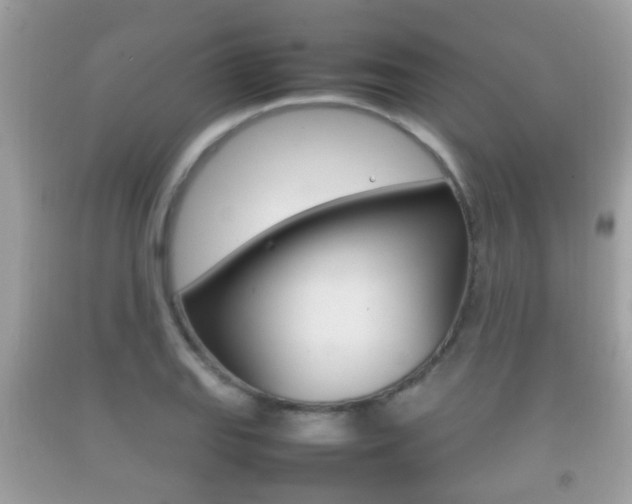 X0000092211127200709140856