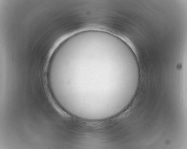 X0000092211128200709140856