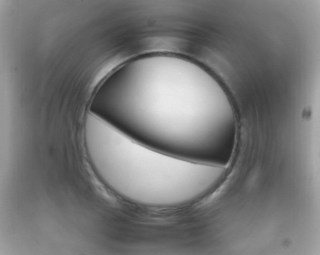 X0000092211129200709140856