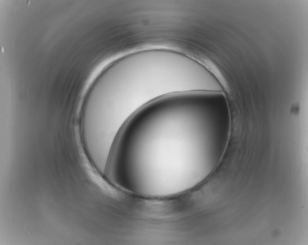 X0000092211132200709140856