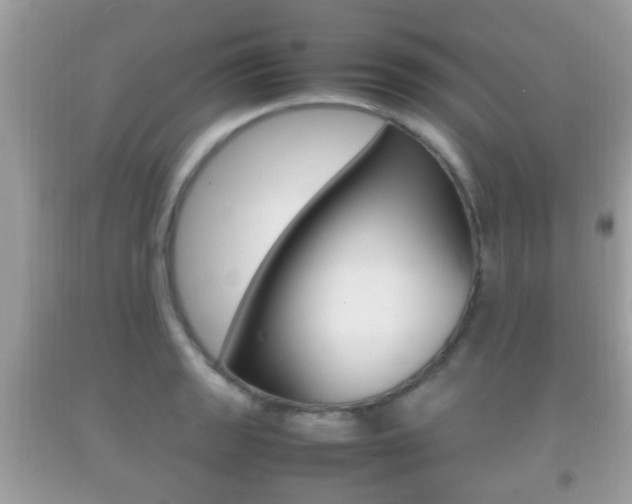 X0000092211133200709140856