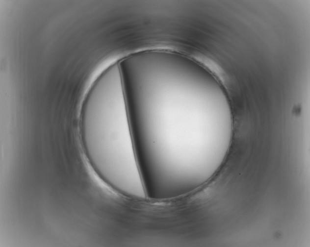X0000092211135200709140856