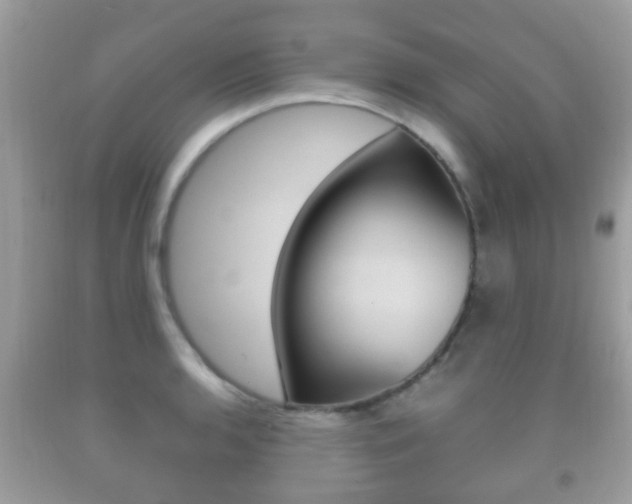 X0000092211136200709140856