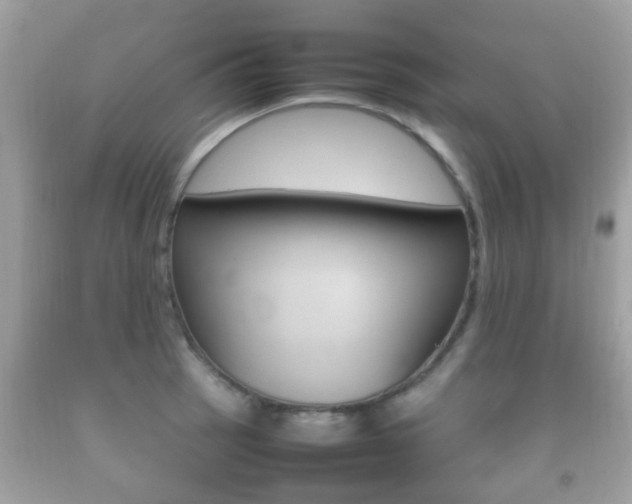 X0000092211137200709140856