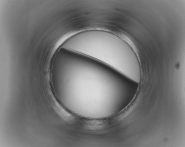 X0000092211141200709140856