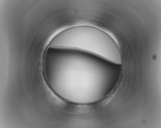 X0000092211142200709140856