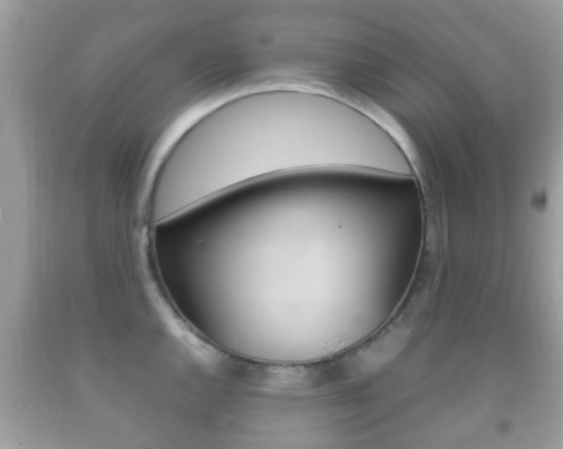 X0000092211144200709140856