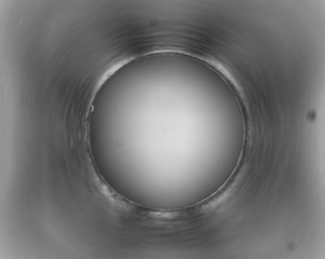 X0000092211145200709140857