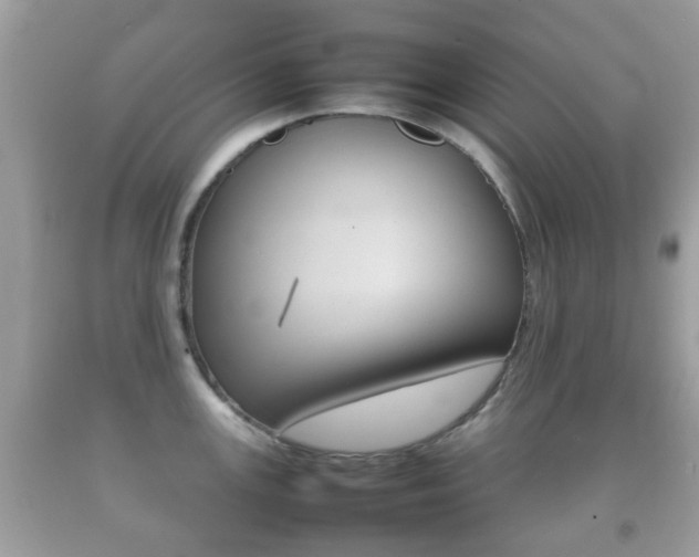 X0000092211147200709140857