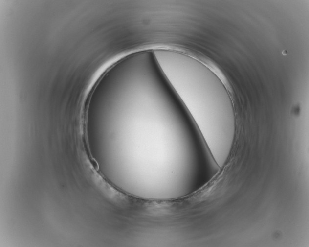 X0000092211148200709140857