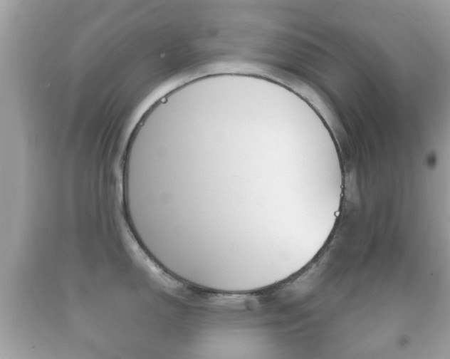 X0000092211150200709140857