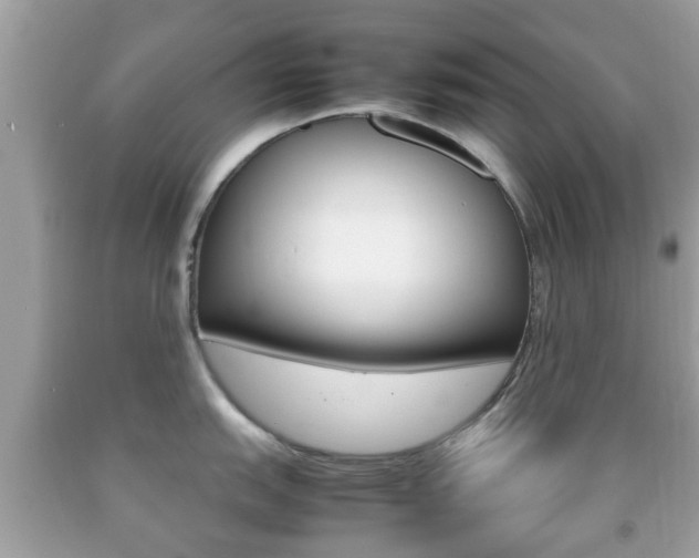 X0000092211151200709140857