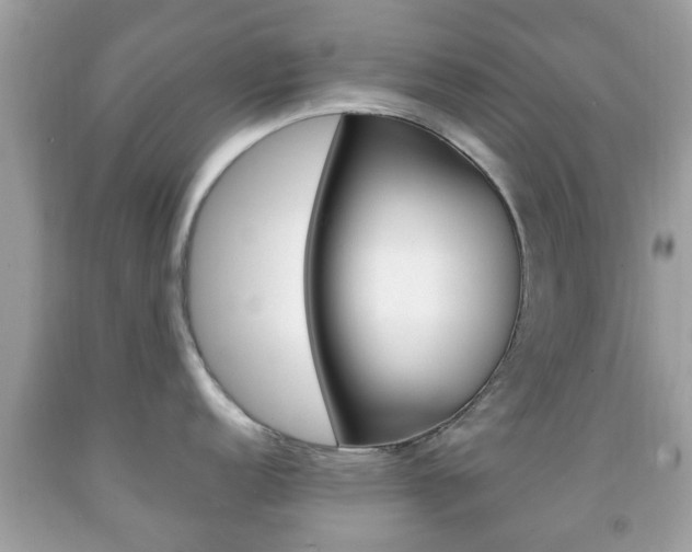 X0000092211152200709140857