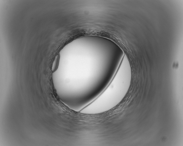 X0000092211153200709140856