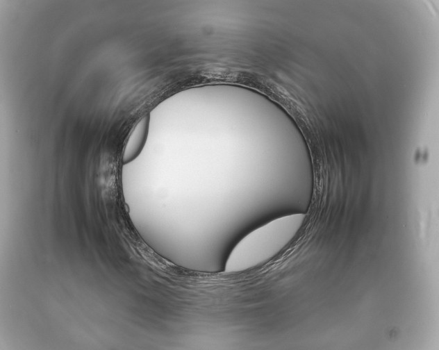 X0000092211154200709140856