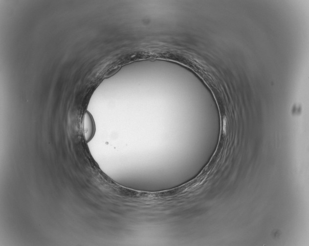 X0000092211155200709140856