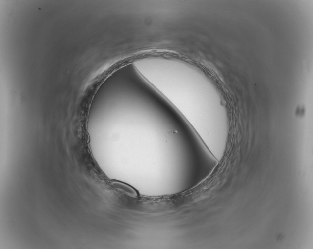 X0000092211159200709140856