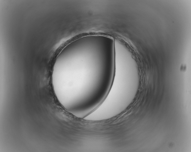 X0000092211160200709140856