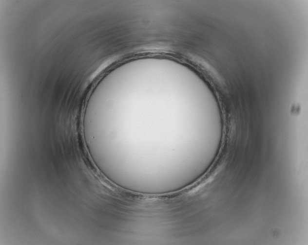 X0000092211162200709140856