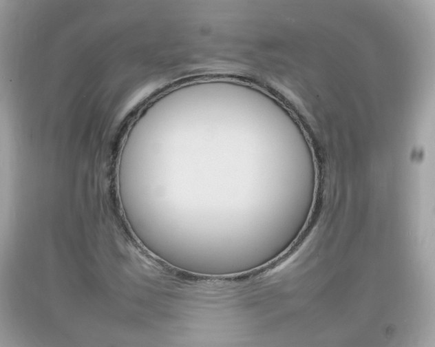X0000092211163200709140856