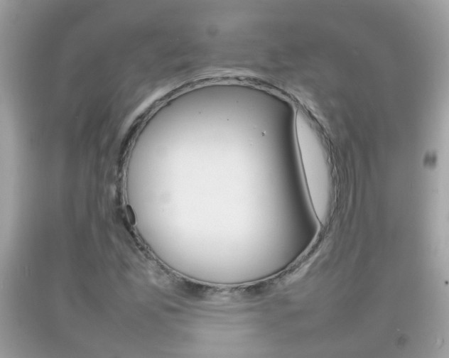 X0000092211165200709140856