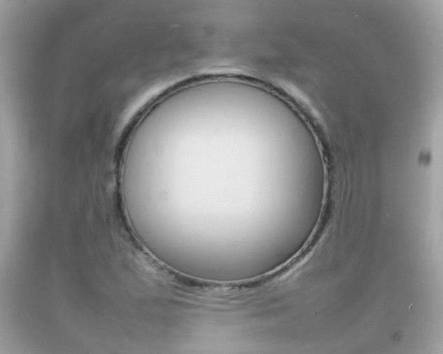 X0000092211167200709140856