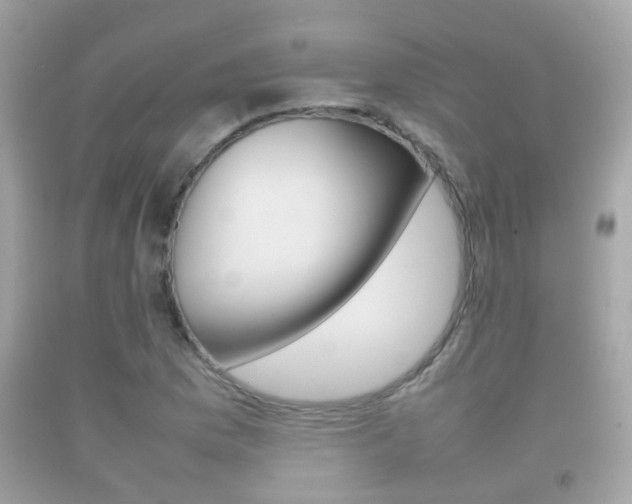 X0000092211169200709140856