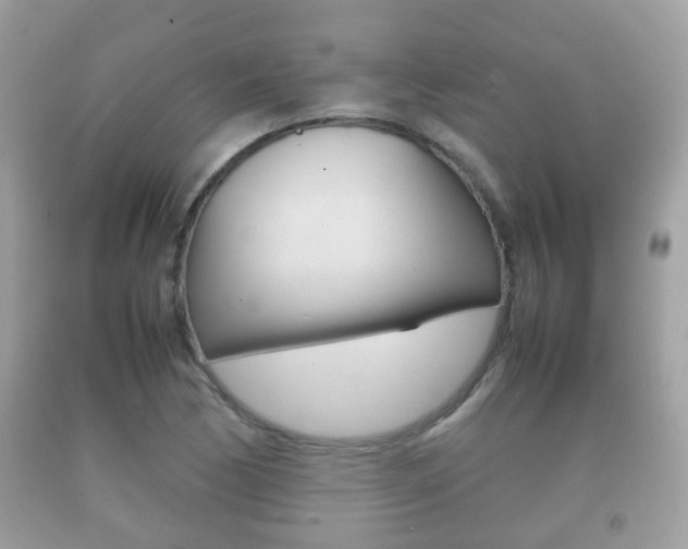 X0000092211170200709140856
