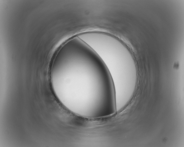 X0000092211173200709140856