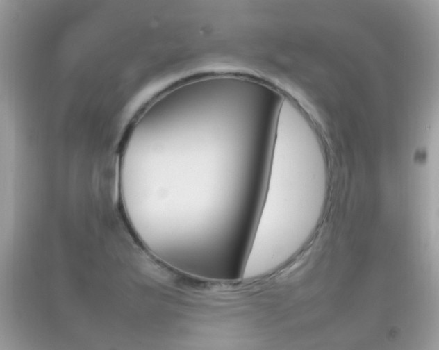 X0000092211175200709140856