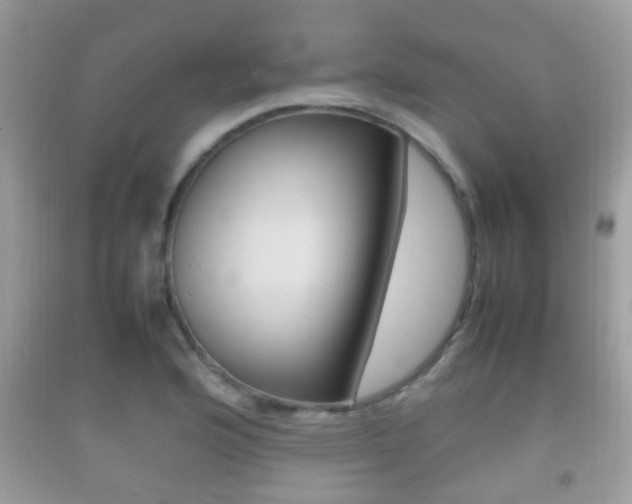 X0000092211176200709140856