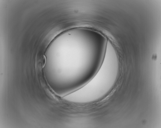 X0000092211177200709140856