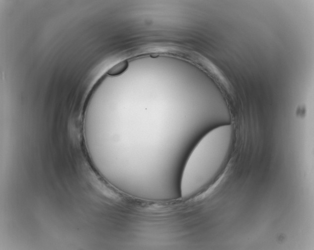 X0000092211178200709140856