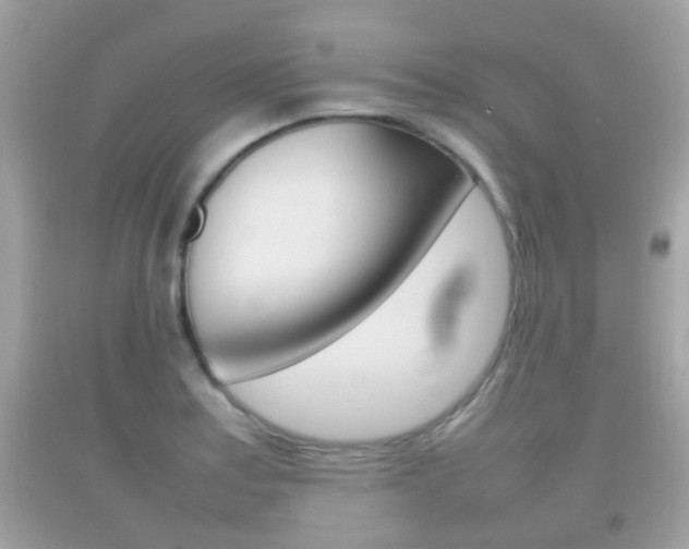 X0000092211179200709140856
