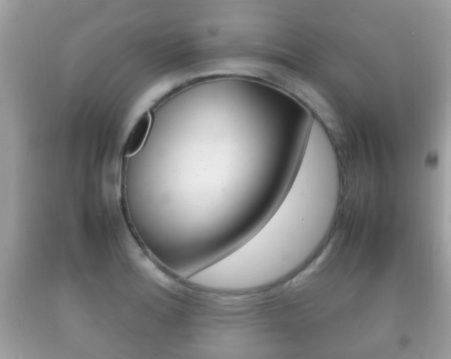 X0000092211180200709140856