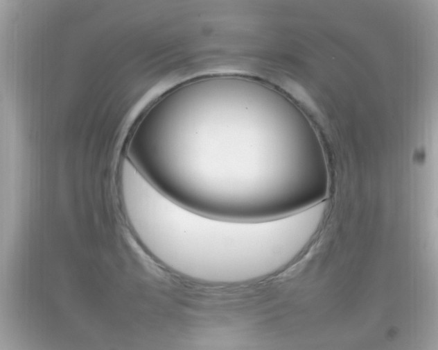 X0000092211181200709140856