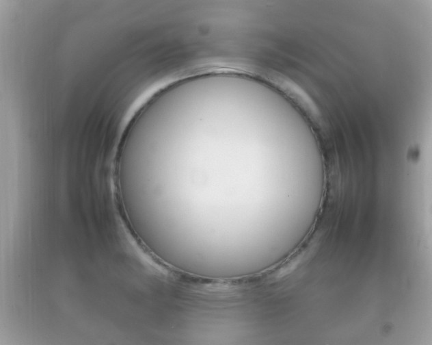 X0000092211182200709140856