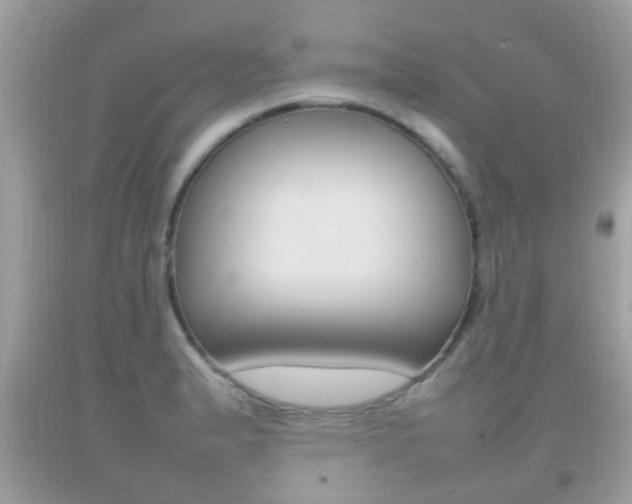 X0000092211183200709140856