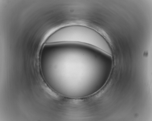 X0000092211184200709140856