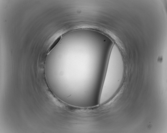 X0000092211185200709140856