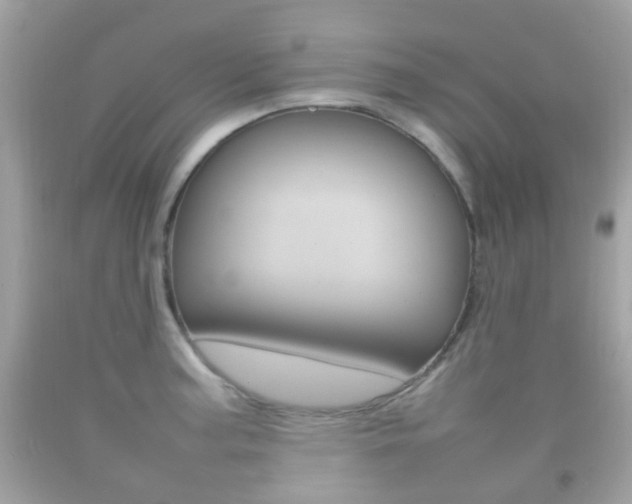 X0000092211187200709140856