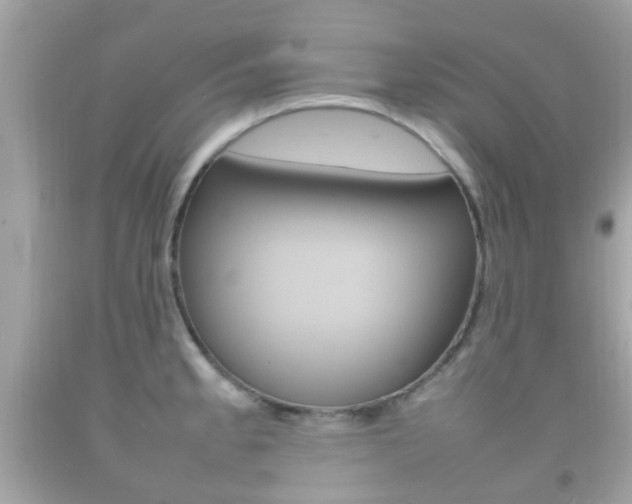 X0000092211189200709140856