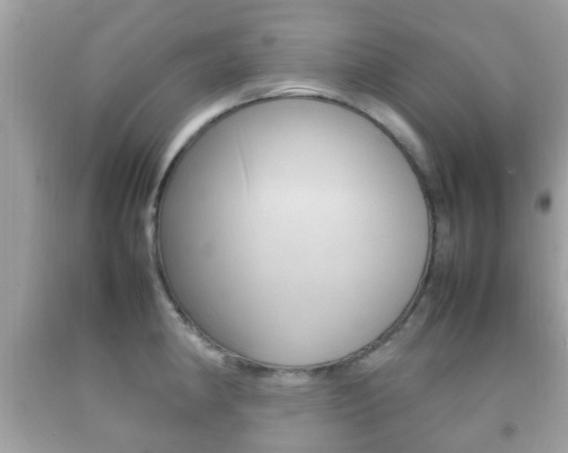 X0000092211190200709140856
