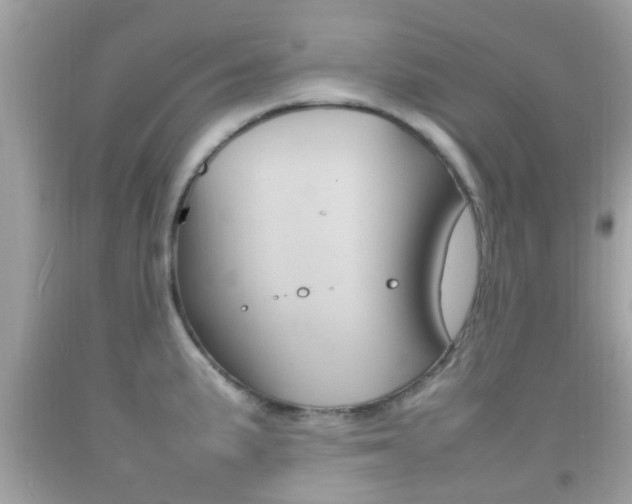 X0000092211191200709140856