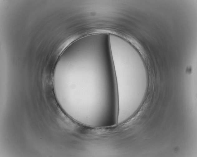 X0000092211193200709140856