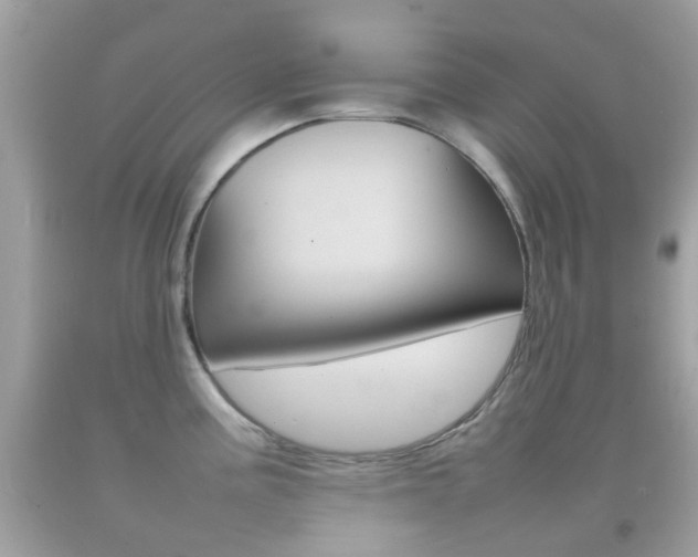 X0000092211195200709140855