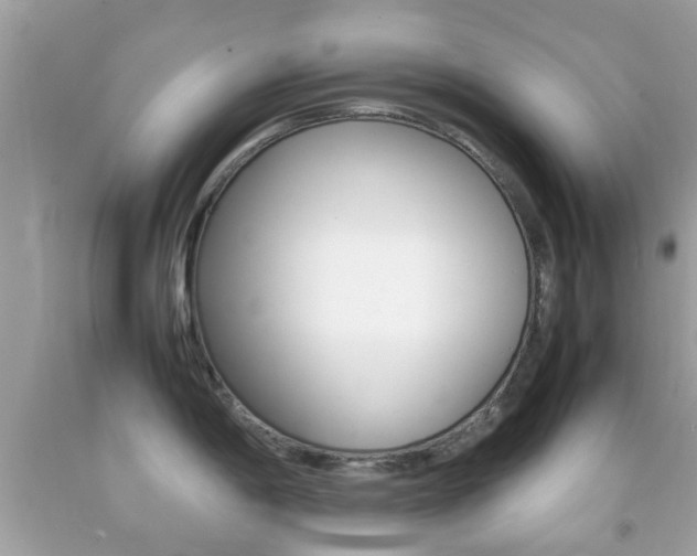 X0000092211198200709140855