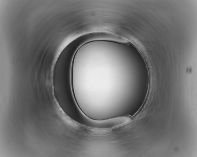 X0000092211200200709140855