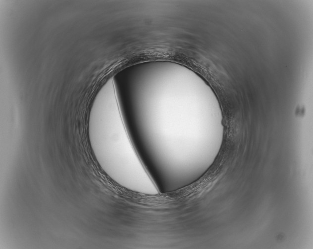 X0000092211201200709140855