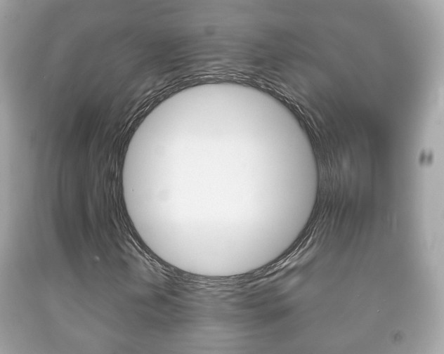X0000092211202200709140855